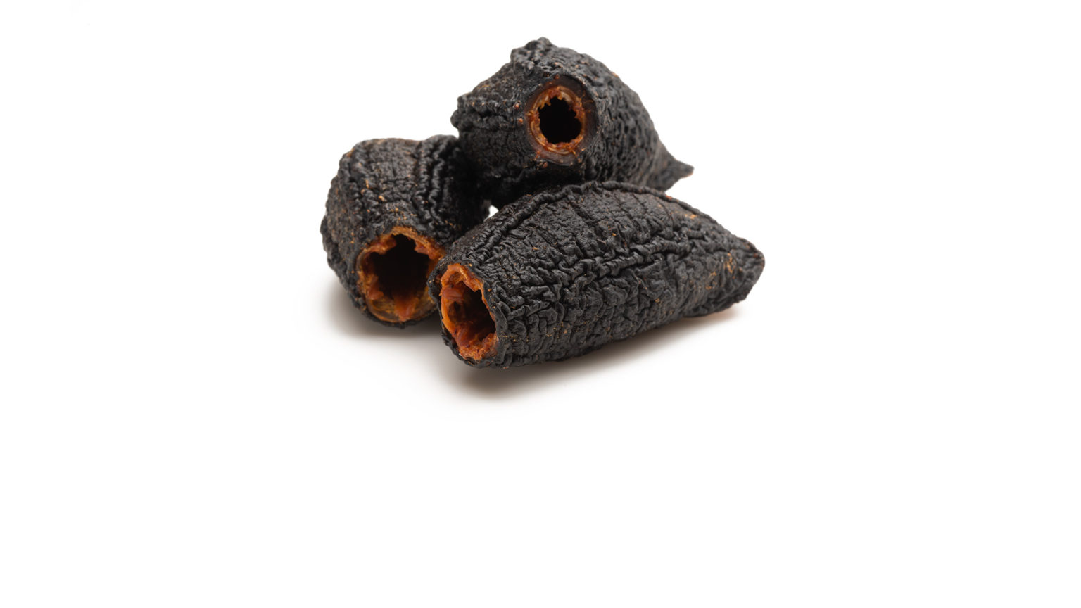 Sea Cucumber Cucumaria frondosa Seafood from Canada