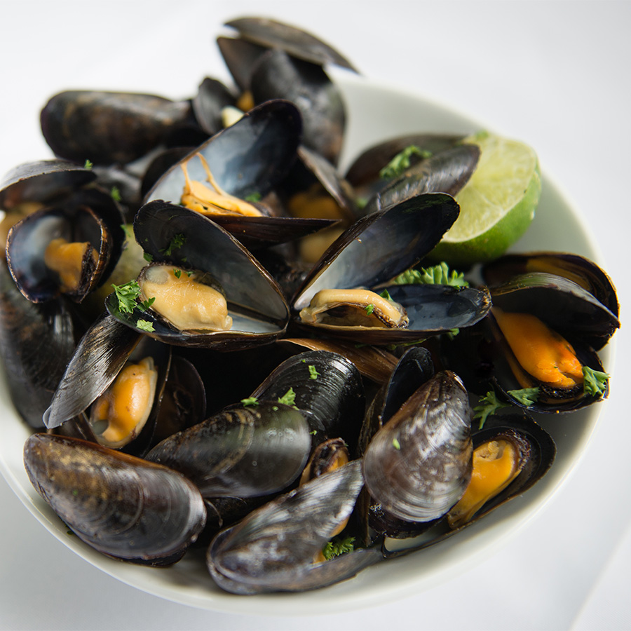 Moules, bleues  Seafood from Canada