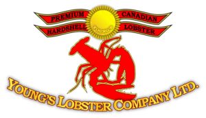 young's lobster company ltd