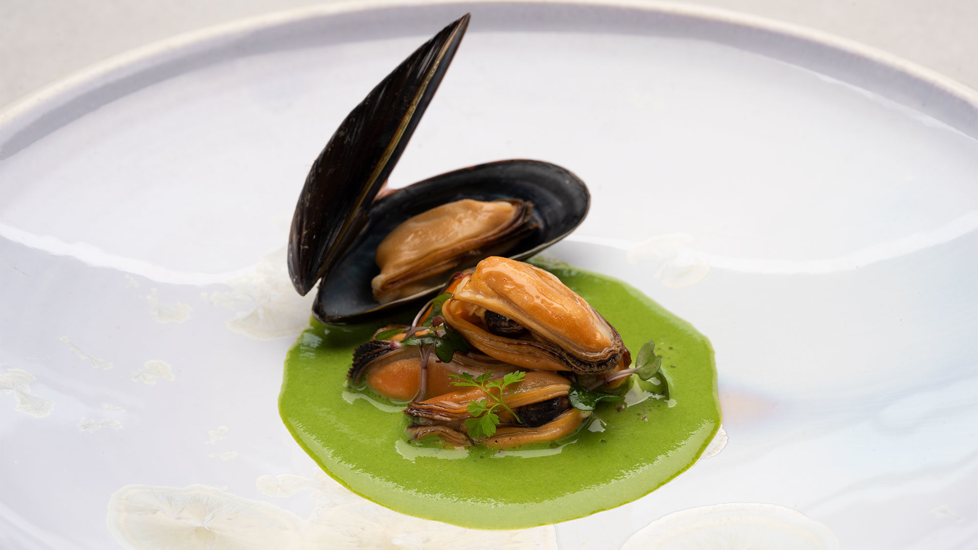 Plated blue mussels in spinach sauce