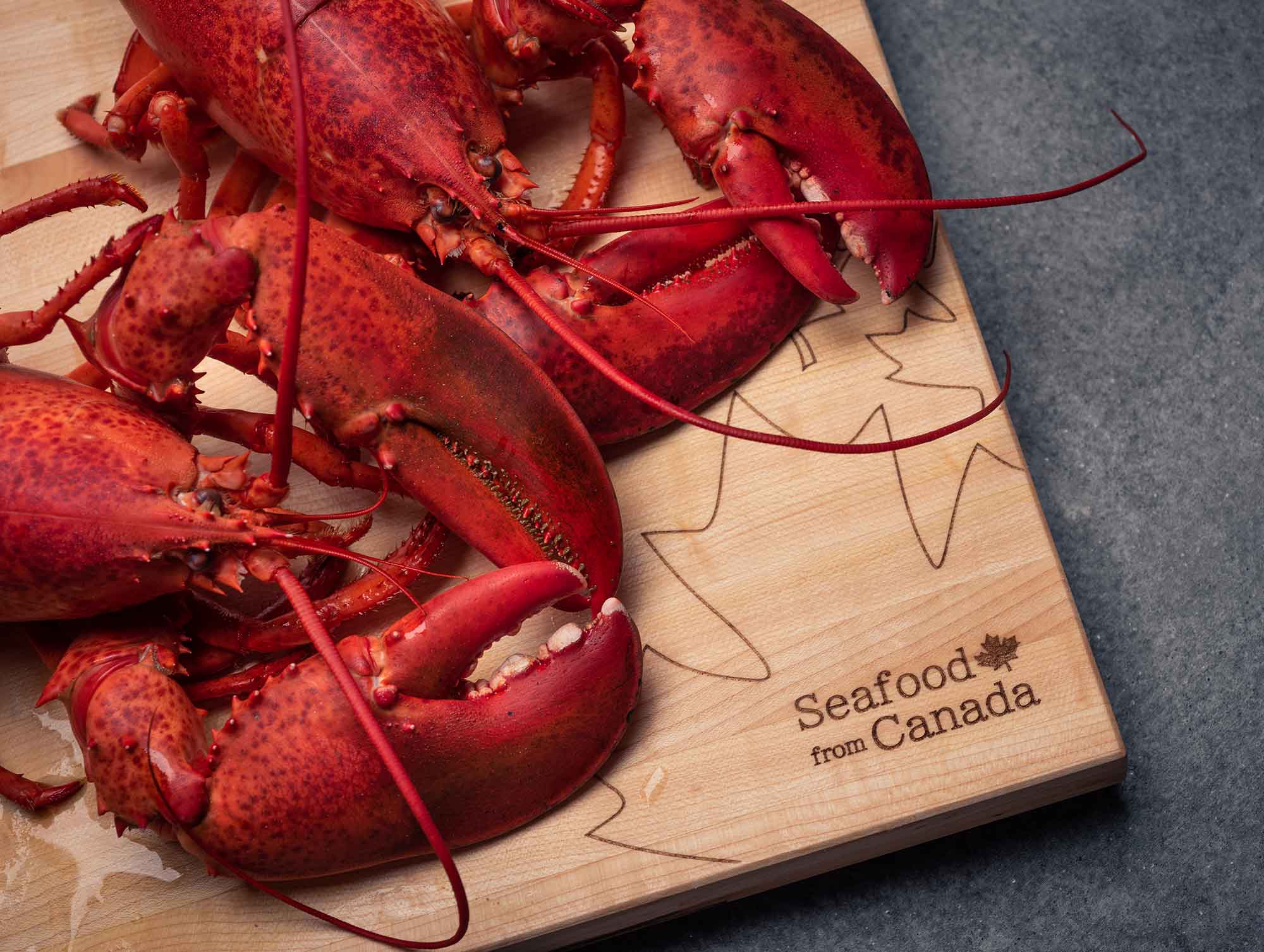 Seafood From Canada and Partners to Attend Canadian Seafood Show 2022